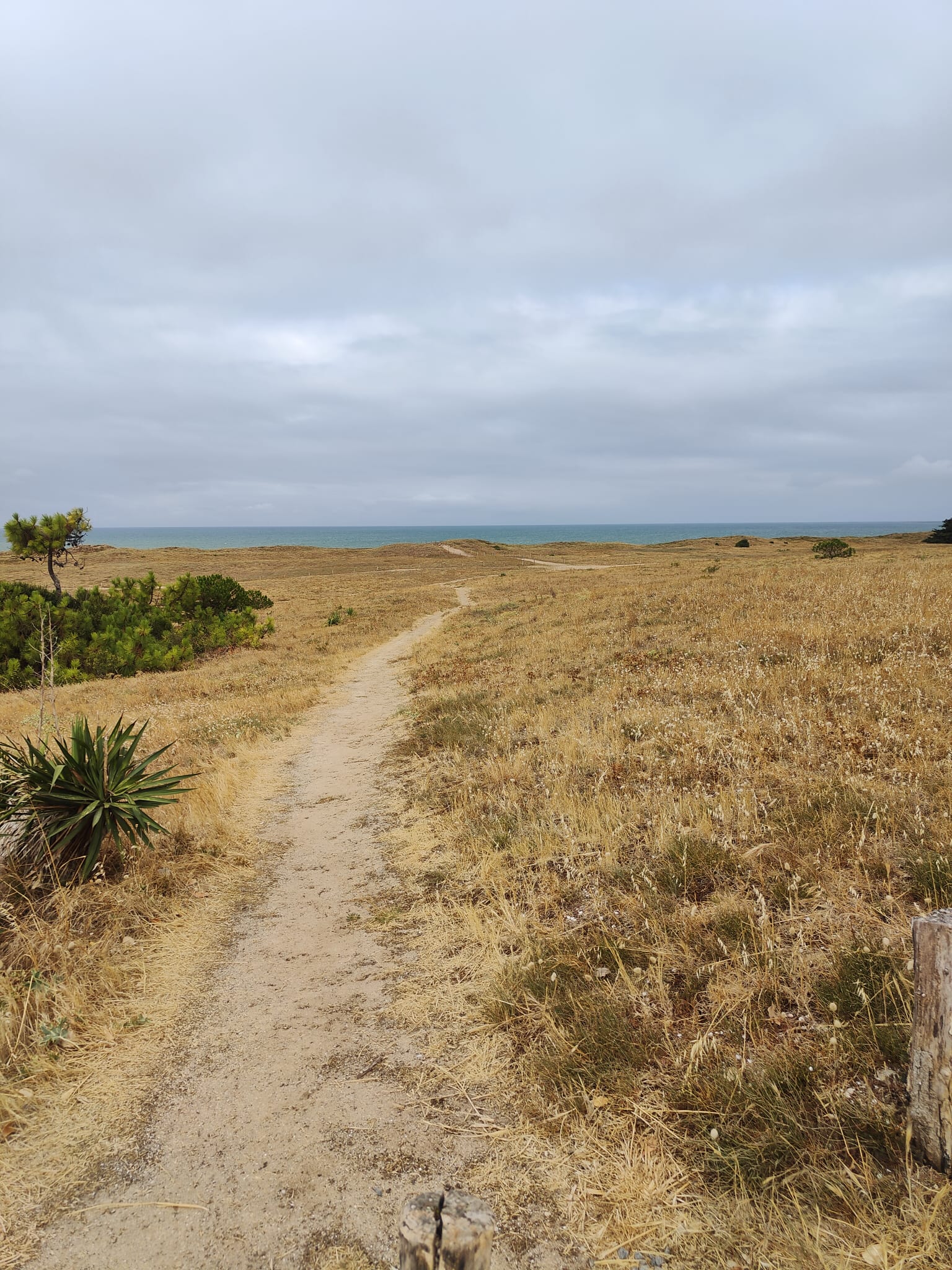 Accès à la plage — Gîte le Phare Niente